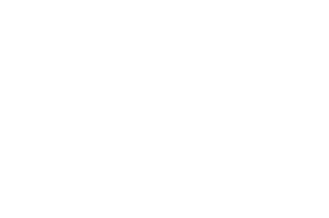 logo-alelo-mono