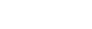logo-birdie-300