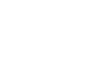 logo-camix-300
