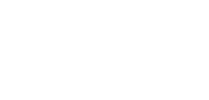logo-seedofdreamsinstitute